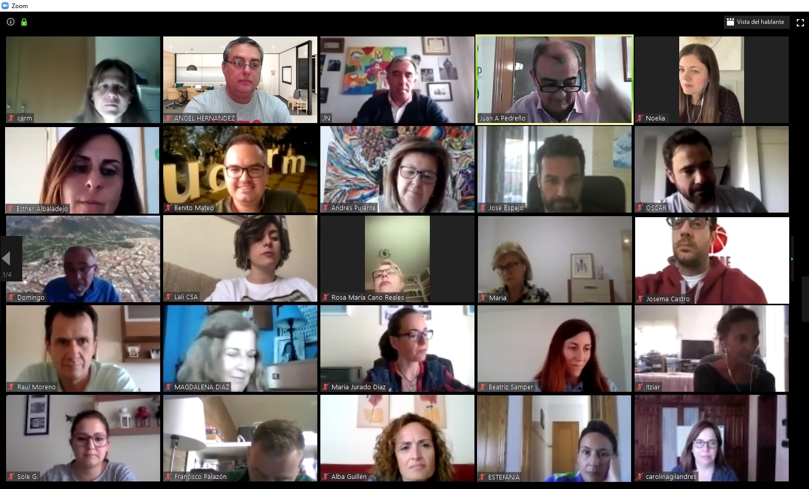 Asistentes a la ponencia virtual