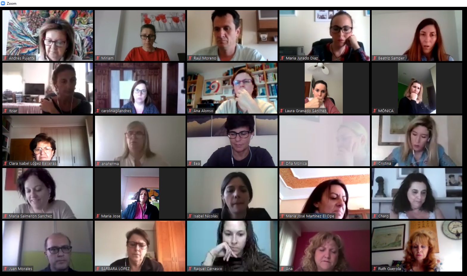 Asistentes a la ponencia virtual