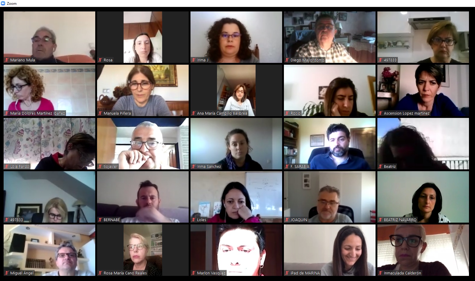 Asistentes a la ponencia virtual