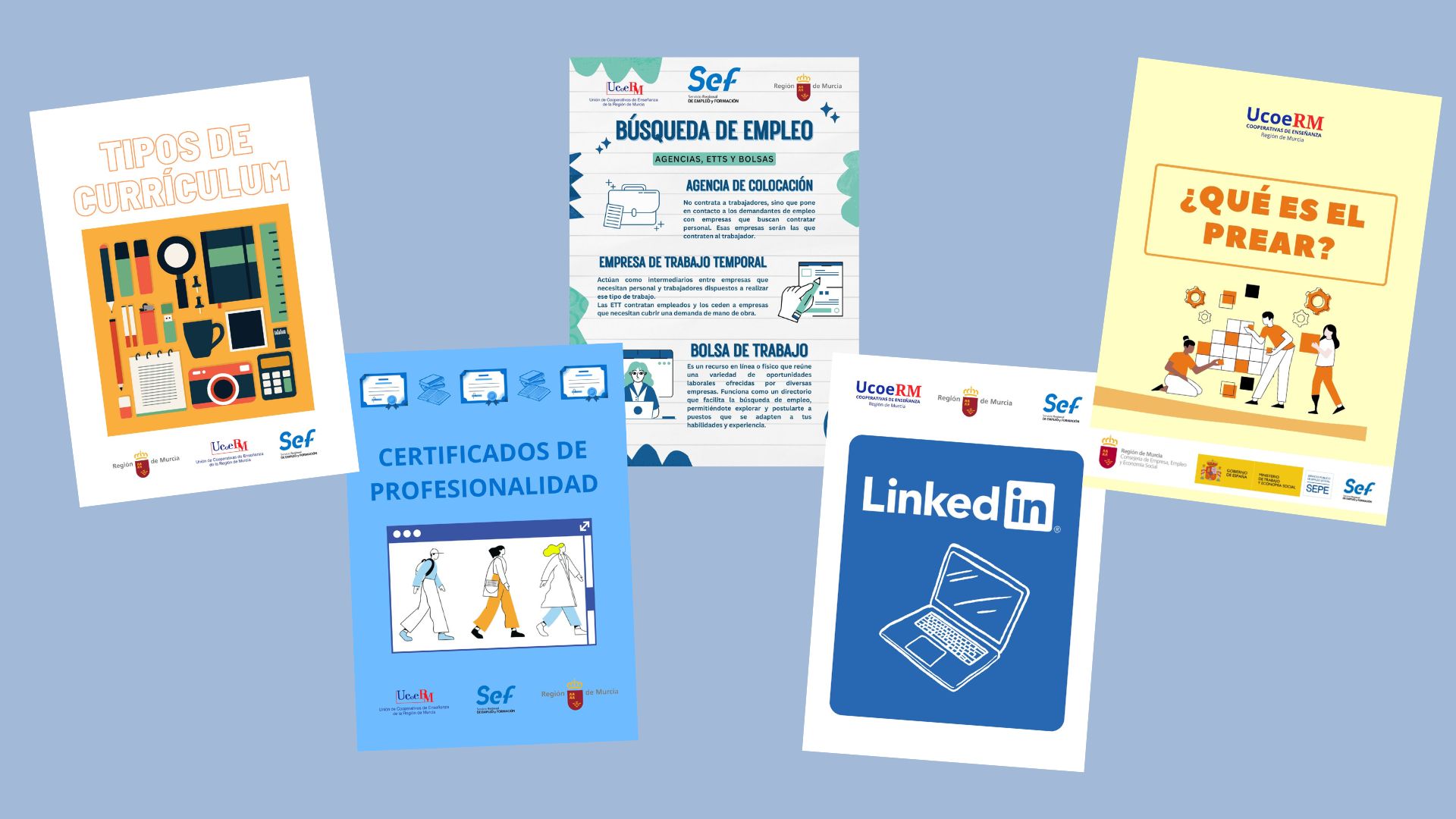  Implementamos un seguimiento cercano y resultados efectivos en inserci&oacute;n laboral